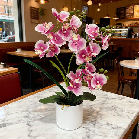 Artificial Moth Orchid Potted Plant, Bringing Natural Vitality into Your Home; Flowers Never Wilt, Staying Evergreen All Year Round./white