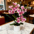 Artificial Moth Orchid Potted Plant, Bringing Natural Vitality into Your Home; Flowers Never Wilt, Staying Evergreen All Year Round./YELLOW