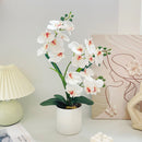 Artificial Moth Orchid Potted Plant, Bringing Natural Vitality into Your Home; Flowers Never Wilt, Staying Evergreen All Year Round./YELLOW