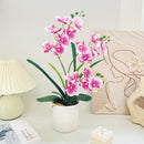Artificial Moth Orchid Potted Plant, Bringing Natural Vitality into Your Home; Flowers Never Wilt, Staying Evergreen All Year Round./Purple heart