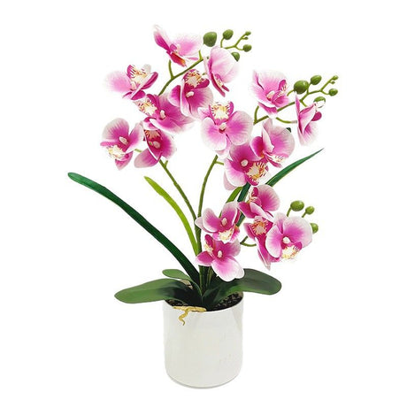 Artificial Moth Orchid Potted Plant, Bringing Natural Vitality into Your Home; Flowers Never Wilt, Staying Evergreen All Year Round./Purple heart