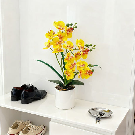 Artificial Moth Orchid Potted Plant, Bringing Natural Vitality into Your Home; Flowers Never Wilt, Staying Evergreen All Year Round./Purple heart