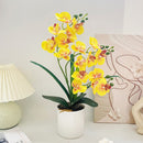 Artificial Moth Orchid Potted Plant, Bringing Natural Vitality into Your Home; Flowers Never Wilt, Staying Evergreen All Year Round./Purple heart