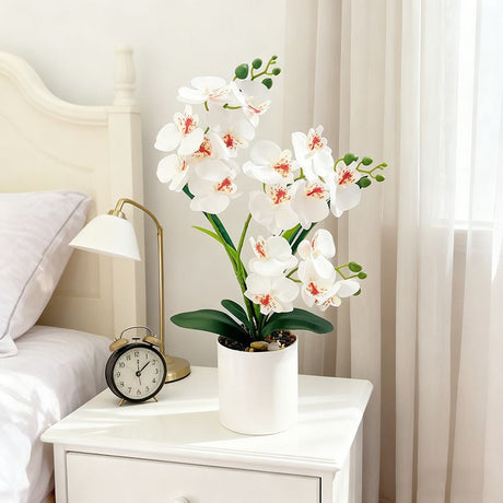 Artificial Moth Orchid Potted Plant, Bringing Natural Vitality into Your Home; Flowers Never Wilt, Staying Evergreen All Year Round./Purple heart