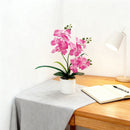 Artificial Moth Orchid Potted Plant, Bringing Natural Vitality into Your Home; Flowers Never Wilt, Staying Evergreen All Year Round./Purple heart