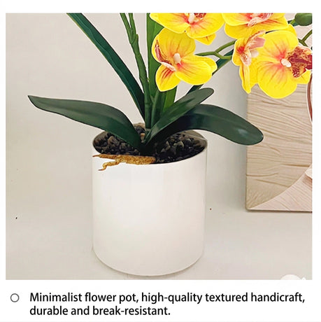 Artificial Moth Orchid Potted Plant, Bringing Natural Vitality into Your Home; Flowers Never Wilt, Staying Evergreen All Year Round./pink