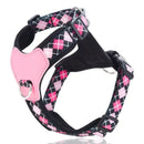 Y-Shaped Anti-Pull Pet Harness + Leash Set: Breathable Mesh, Adjustable, No Neck Choking, Suitable for Small to Medium-Sized Dogs and Cats, Makes Walking Easier. (BLACK, Size M)