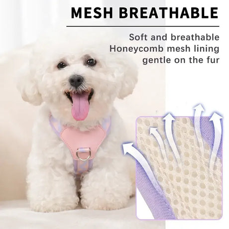Y-Shaped Anti-Pull Pet Harness + Leash Set: Breathable Mesh, Adjustable, No Neck Choking, Suitable for Small to Medium-Sized Dogs and Cats, Makes Walking Easier. (black, Size L)