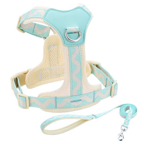 Y-Shaped Anti-Pull Pet Harness + Leash Set: Breathable Mesh, Adjustable, No Neck Choking, Suitable for Small to Medium-Sized Dogs and Cats, Makes Walking Easier. (mint green, Size S)