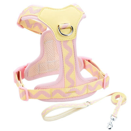 Y-Shaped Anti-Pull Pet Harness + Leash Set: Breathable Mesh, Adjustable, No Neck Choking, Suitable for Small to Medium-Sized Dogs and Cats, Makes Walking Easier. (mint green, Size S)