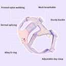 Y-Shaped Anti-Pull Pet Harness + Leash Set: Breathable Mesh, Adjustable, No Neck Choking, Suitable for Small to Medium-Sized Dogs and Cats, Makes Walking Easier. (mint green, Size M)