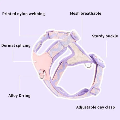 Y-Shaped Anti-Pull Pet Harness + Leash Set: Breathable Mesh, Adjustable, No Neck Choking, Suitable for Small to Medium-Sized Dogs and Cats, Makes Walking Easier. (mint green, Size M)