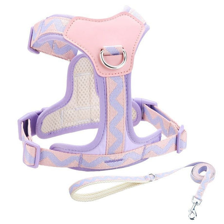 Y-Shaped Anti-Pull Pet Harness + Leash Set: Breathable Mesh, Adjustable, No Neck Choking, Suitable for Small to Medium-Sized Dogs and Cats, Makes Walking Easier. (Purple, Size S)