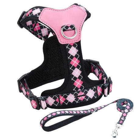 Y-Shaped Anti-Pull Pet Harness + Leash Set: Breathable Mesh, Adjustable, No Neck Choking, Suitable for Small to Medium-Sized Dogs and Cats, Makes Walking Easier. (Purple, Size S)