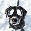 Large Dog Goggles | Windproof, Snowproof, UV Protection, Flexible Frame Sunglasses for Outdoor Adventure(WHITE)