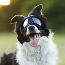 Large Dog Goggles | Windproof, Snowproof, UV Protection, Flexible Frame Sunglasses for Outdoor Adventure(WHITE)