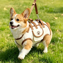 Oxford Fabric Pet Three-in-One Travel System: Horizontal Back Design Protects Spine, Four-Leg Separation, Three Uses in One: Kennel, Backpack, and Leash/M size [recommended weight 8-13 kg]