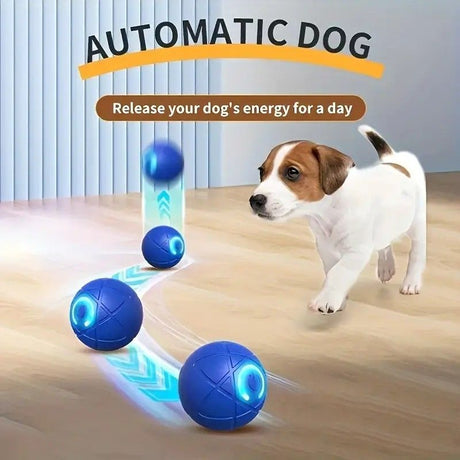 Smart Interactive Rolling Pet Ball – Automatic Self-Moving Cat & Small Dog Toy, Bite-Resistant Rechargeable Boredom Buster 52mm(blue)