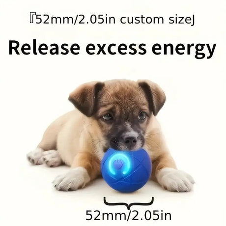 Smart Interactive Rolling Pet Ball – Automatic Self-Moving Cat & Small Dog Toy, Bite-Resistant Rechargeable Boredom Buster 52mm(blue)