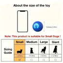 mart Interactive Rolling Pet Ball – Automatic Self-Moving Cat & Small Dog Toy, Bite-Resistant Rechargeable Boredom Buster 52mm(orange)