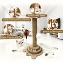 Bestselling Interactive Cat Scratching Post | Sisal Scratching Board + Rotating Ball Track + Feather Toy, Multi-functional Cat Tower for Solo Play and Stress Relief