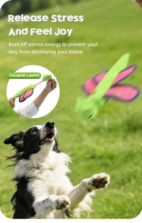 Bouncy Flying Bug (Captain Dragonfly) Pet Interactive Toy: Launch and Sound Effects with 360° Rotation, Bite-Resistant Oxford Fabric for Fun Between Pets and Owners