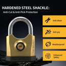 Heavy-duty metal padlock with 3 keys, dual-open design (key and combination unlock), suitable for lock cylinders, doors, factories, warehouses, and home/outdoor use.