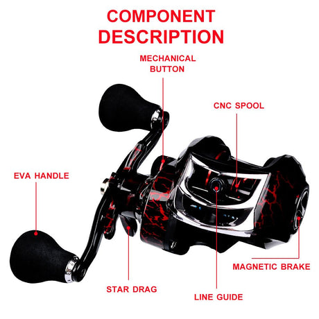 High Speed 18+1BB Baitcasting Reel, Dual Brake System, Max Drag 20lb - Ergonomic Handle, Stainless Steel Durable Spool - Ideal for Carp and Bass Fishing, Suitable for Saltwater and Freshwater, Angler's Choice | Smooth Black Finish(DW121R right hand)