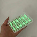 Glow-in-the-Dark Shrimp Lure 20-Piece Box Set | Night Fishing Essential, Soft Plastic Lure with Hooks, Suitable for Freshwater and Saltwater, Ideal for Bass/Trout/Crappie/Walleye/Redfish