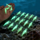 Glow-in-the-Dark Shrimp Lure 20-Piece Box Set | Night Fishing Essential, Soft Plastic Lure with Hooks, Suitable for Freshwater and Saltwater, Ideal for Bass/Trout/Crappie/Walleye/Redfish