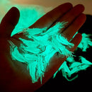 Glow-in-the-Dark Shrimp Lure 20-Piece Box Set | Night Fishing Essential, Soft Plastic Lure with Hooks, Suitable for Freshwater and Saltwater, Ideal for Bass/Trout/Crappie/Walleye/Redfish