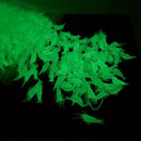 Glow-in-the-Dark Shrimp Lure 20-Piece Box Set | Night Fishing Essential, Soft Plastic Lure with Hooks, Suitable for Freshwater and Saltwater, Ideal for Bass/Trout/Crappie/Walleye/Redfish
