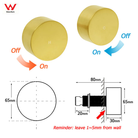WELS Brushed Gold Round Dual Shower Head Set Simple Hold Handheld Gooseneck Arm Twin Taps