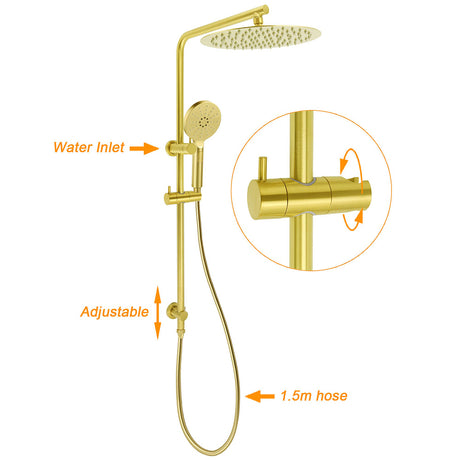 Brushed Gold Twin Shower Large Round 12