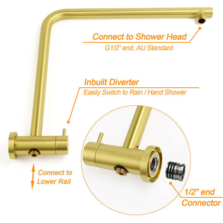 WELS Brushed Gold Twin Shower Large Round 12
