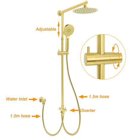 WELS Brushed Gold Dual Shower Set 8