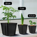 20 Pieces Seedling Pots, Nursery Pots, Reusable Plastic Square Seedling Pot Seedling Pots Transplanting Pot Growing Pot Planting, 5.5cm