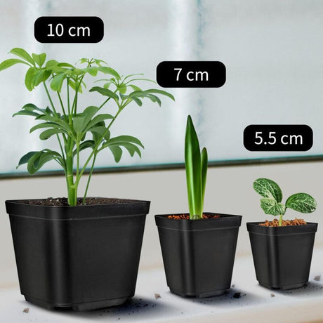 20 Pieces Seedling Pots, Nursery Pots, Reusable Plastic Square Seedling Pot Seedling Pots Transplanting Pot Growing Pot Planting, 5.5cm