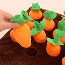 Pawfect Carrot & Bone Dog Chew Toy Set - Durable & Fun