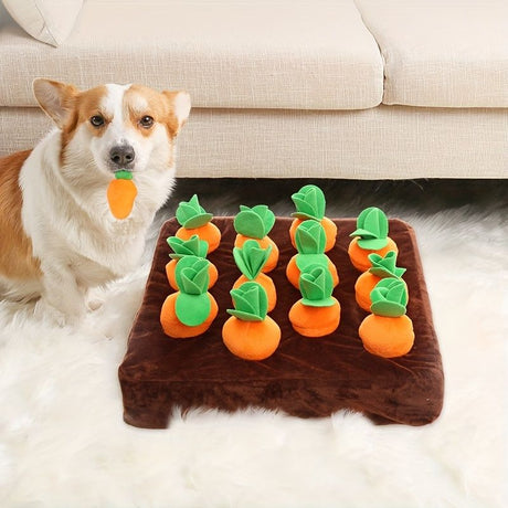 Pawfect Carrot & Bone Dog Chew Toy Set - Durable & Fun