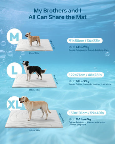 Cooling Mat for Dogs, 36