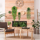 4 Pack Realistic Artificial Trailing Hanging Plants – Silver Dollar Eucalyptus, String of Pearls Succulent, Lush Boston Fern & Heart Leaf Pothos, Wall Mount Faux Greenery for Australian Coastal & Boho Home Styling