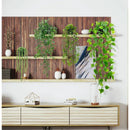 4 Pack Realistic Artificial Trailing Hanging Plants – Silver Dollar Eucalyptus, String of Pearls Succulent, Lush Boston Fern & Heart Leaf Pothos, Wall Mount Faux Greenery for Australian Coastal & Boho Home Styling