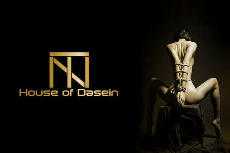 House Of Dasein Blue Red Corset Gold Lace Trim Sexy Lingerie Kink Bdsm Fetish Clothing - Red - 4Xl