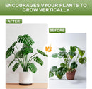 16 Pack Indoor Plant Stakes 4 Sizes 4 of Each Size Green Plant Supports for Tall Plants Monstera Plant Anchors Plant Fixing Hooks Suitable for Indoor Gardens