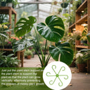 16 Pack Indoor Plant Stakes 4 Sizes 4 of Each Size Green Plant Supports for Tall Plants Monstera Plant Anchors Plant Fixing Hooks Suitable for Indoor Gardens