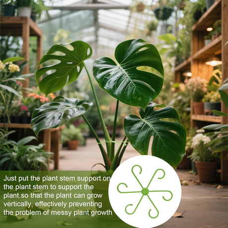 16 Pack Indoor Plant Stakes 4 Sizes 4 of Each Size Green Plant Supports for Tall Plants Monstera Plant Anchors Plant Fixing Hooks Suitable for Indoor Gardens