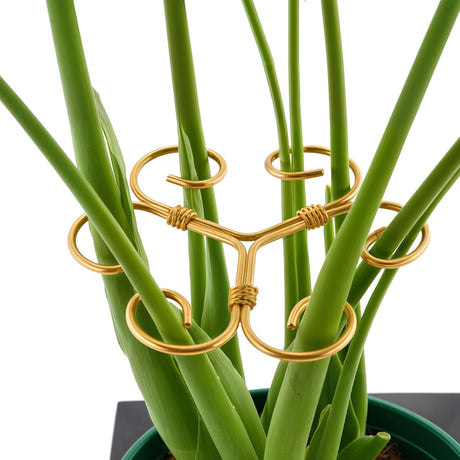 10.5cm x 10.5cm Gold Plant Stem Supports 4 Pack - Indoor Plant Stakes for Tall Plants, Monstera - Plant Anchoring Hooks for Indoor Gardens