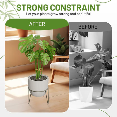 10.5cm x 10.5cm Gold Plant Stem Supports 4 Pack - Indoor Plant Stakes for Tall Plants, Monstera - Plant Anchoring Hooks for Indoor Gardens