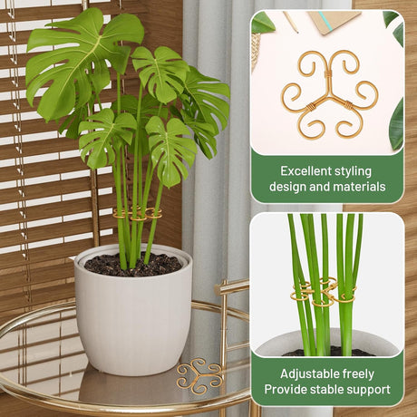 10.5cm x 10.5cm Gold Plant Stem Supports 4 Pack - Indoor Plant Stakes for Tall Plants, Monstera - Plant Anchoring Hooks for Indoor Gardens